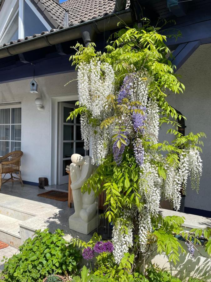 Gaensebluemchen 2 Apartment Daisy 2 Walsdorf  Exterior foto